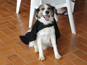 Chico de Batman 1